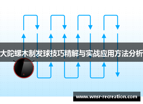 大陀螺木制发球技巧精解与实战应用方法分析